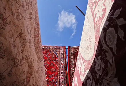 معرفی بهترین مراکز قالیشویی در آریاشهر